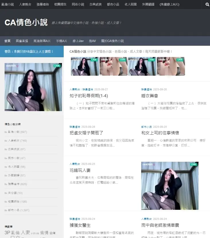 CA情色小说