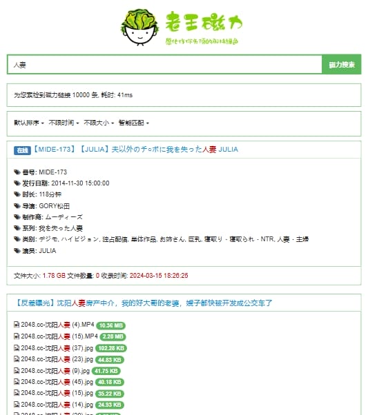 老王磁力